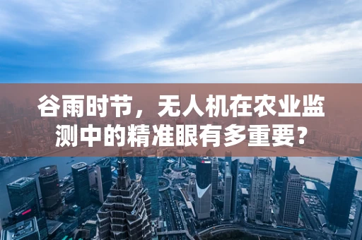 谷雨时节，无人机在农业监测中的精准眼有多重要？
