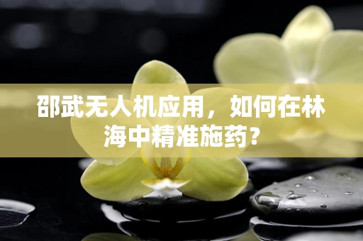 邵武无人机应用，如何在林海中精准施药？
