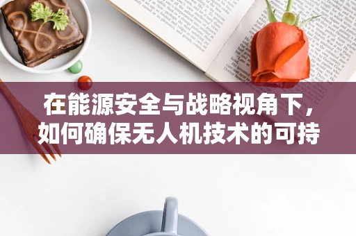 在能源安全与战略视角下，如何确保无人机技术的可持续能源供应？