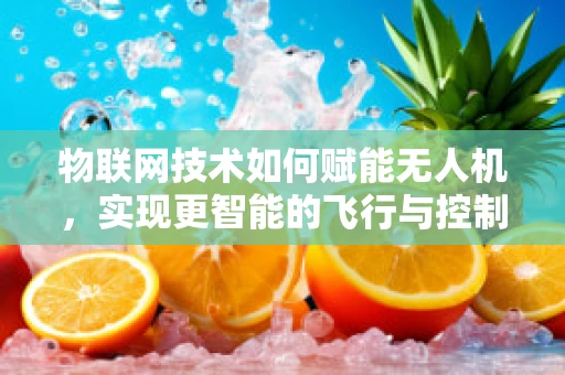 物联网技术如何赋能无人机，实现更智能的飞行与控制？