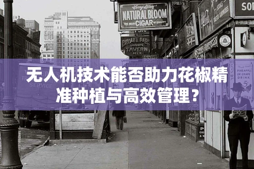 无人机技术能否助力花椒精准种植与高效管理？