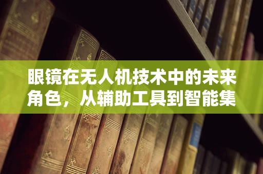 眼镜在无人机技术中的未来角色，从辅助工具到智能集成？