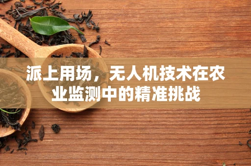 派上用场，无人机技术在农业监测中的精准挑战