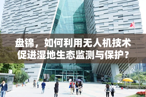 盘锦，如何利用无人机技术促进湿地生态监测与保护？