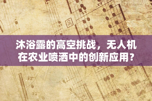 沐浴露的高空挑战，无人机在农业喷洒中的创新应用？