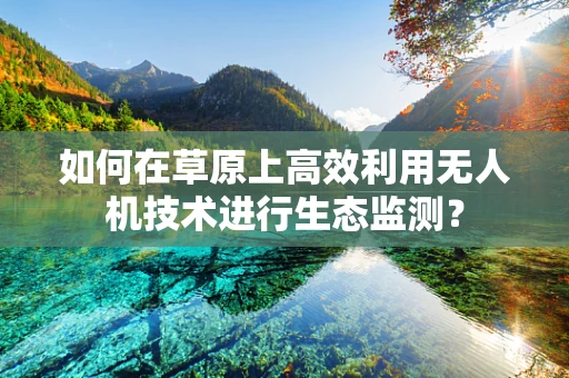 如何在草原上高效利用无人机技术进行生态监测？