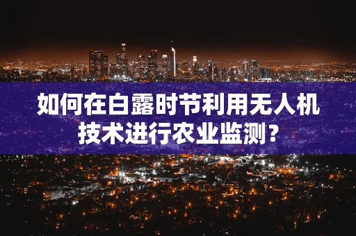 如何在白露时节利用无人机技术进行农业监测？