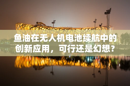 鱼油在无人机电池续航中的创新应用，可行还是幻想？