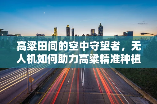 高粱田间的空中守望者，无人机如何助力高粱精准种植？