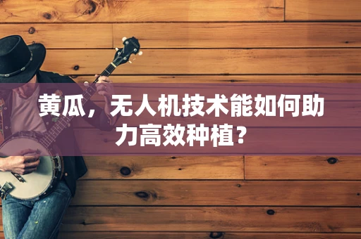 黄瓜，无人机技术能如何助力高效种植？