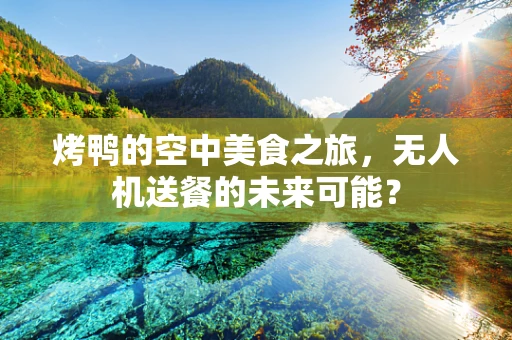 烤鸭的空中美食之旅，无人机送餐的未来可能？