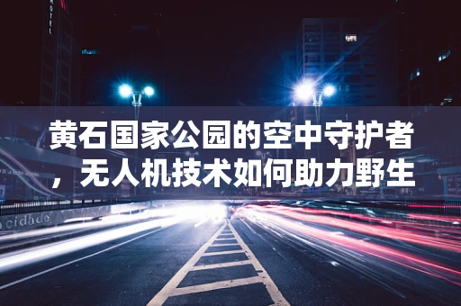 黄石国家公园的空中守护者，无人机技术如何助力野生动物保护？