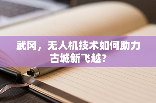 武冈，无人机技术如何助力古城新飞越？