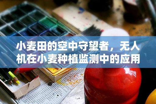 小麦田的空中守望者，无人机在小麦种植监测中的应用挑战与机遇？