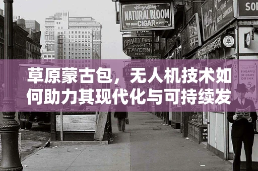 草原蒙古包，无人机技术如何助力其现代化与可持续发展？
