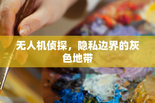 无人机侦探，隐私边界的灰色地带