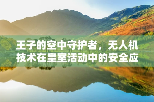 王子的空中守护者，无人机技术在皇室活动中的安全应用