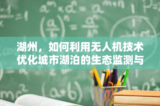 湖州，如何利用无人机技术优化城市湖泊的生态监测与保护？