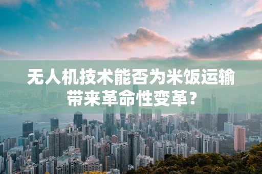 无人机技术能否为米饭运输带来革命性变革？