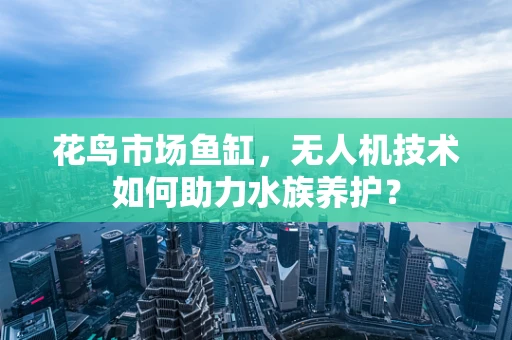 花鸟市场鱼缸，无人机技术如何助力水族养护？
