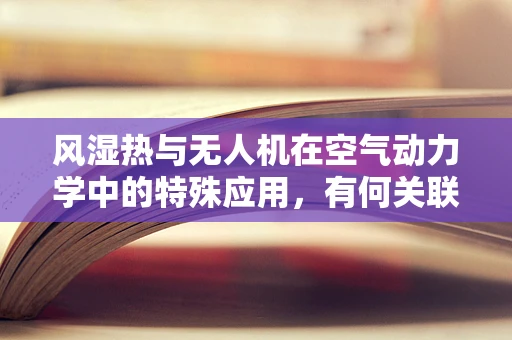 风湿热与无人机在空气动力学中的特殊应用，有何关联？