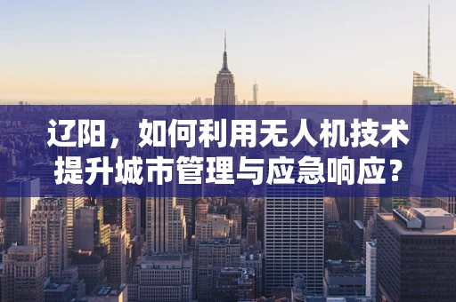 辽阳，如何利用无人机技术提升城市管理与应急响应？