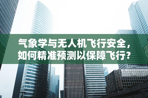 气象学与无人机飞行安全，如何精准预测以保障飞行？