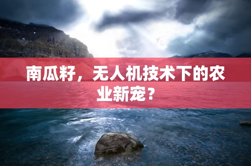 南瓜籽，无人机技术下的农业新宠？