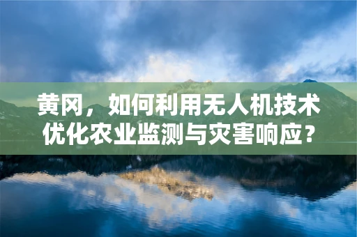 黄冈，如何利用无人机技术优化农业监测与灾害响应？