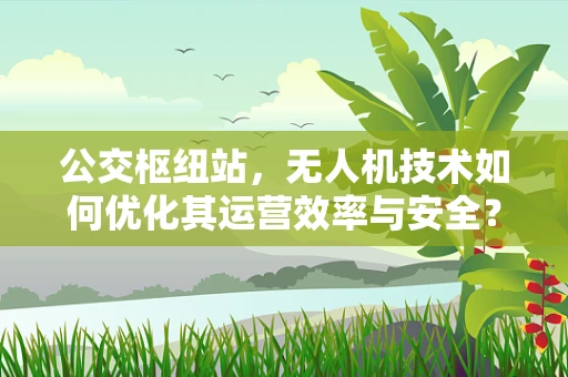 公交枢纽站，无人机技术如何优化其运营效率与安全？