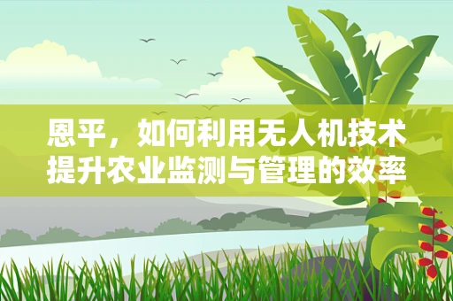 恩平，如何利用无人机技术提升农业监测与管理的效率？