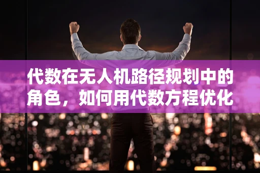 代数在无人机路径规划中的角色，如何用代数方程优化飞行轨迹？