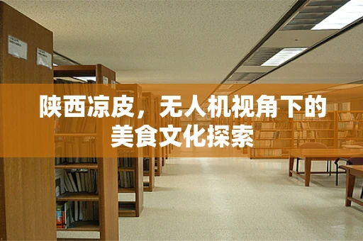 陕西凉皮，无人机视角下的美食文化探索