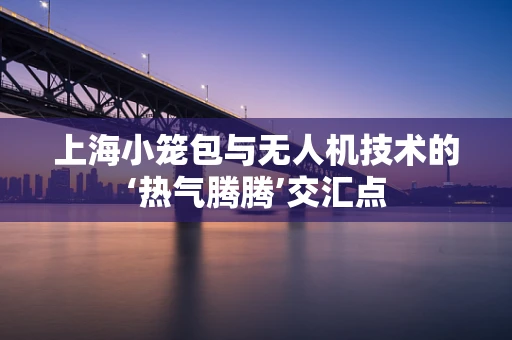 上海小笼包与无人机技术的‘热气腾腾’交汇点