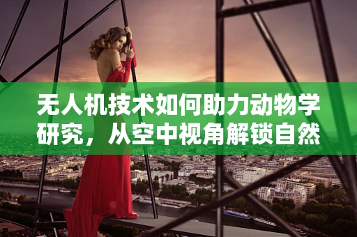 无人机技术如何助力动物学研究，从空中视角解锁自然之谜？