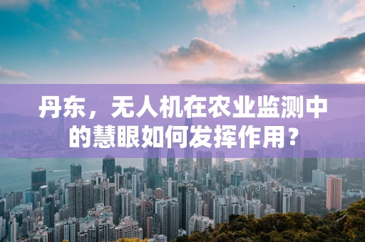 丹东，无人机在农业监测中的慧眼如何发挥作用？