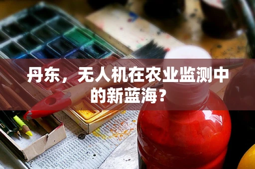 丹东，无人机在农业监测中的新蓝海？