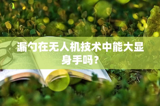 漏勺在无人机技术中能大显身手吗？