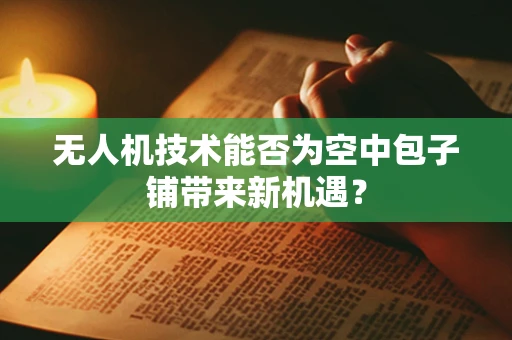无人机技术能否为空中包子铺带来新机遇？