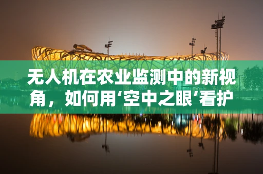 无人机在农业监测中的新视角，如何用‘空中之眼’看护稻田的‘绿色粥铺’？