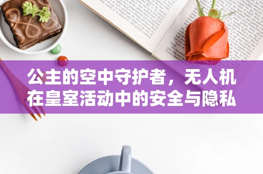 公主的空中守护者，无人机在皇室活动中的安全与隐私保护