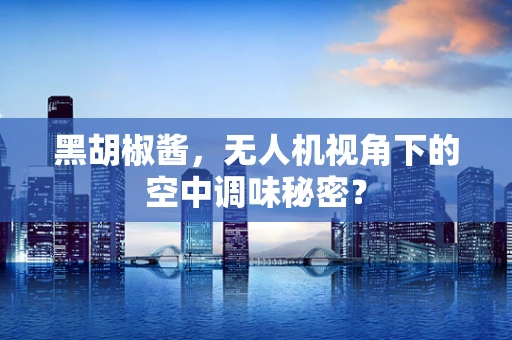 黑胡椒酱，无人机视角下的空中调味秘密？