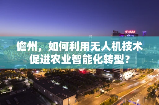 儋州，如何利用无人机技术促进农业智能化转型？