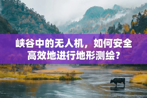 峡谷中的无人机，如何安全高效地进行地形测绘？