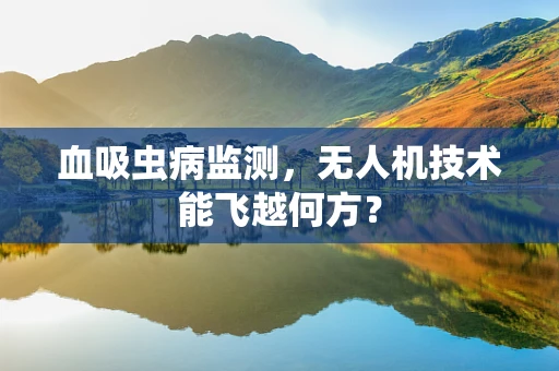 血吸虫病监测，无人机技术能飞越何方？