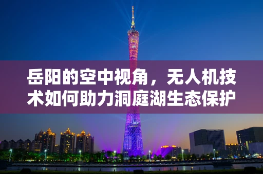 岳阳的空中视角，无人机技术如何助力洞庭湖生态保护？