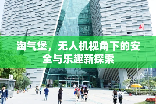 淘气堡，无人机视角下的安全与乐趣新探索