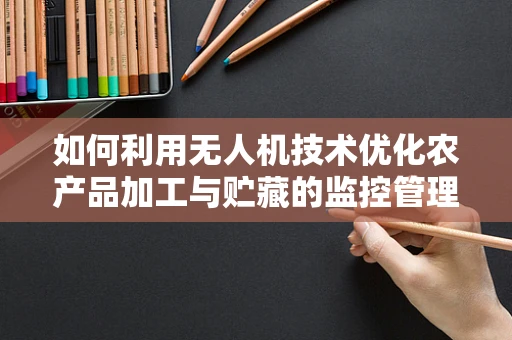 如何利用无人机技术优化农产品加工与贮藏的监控管理？