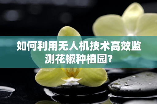 如何利用无人机技术高效监测花椒种植园？