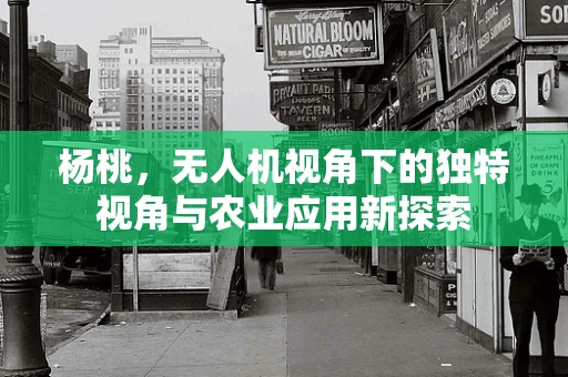杨桃，无人机视角下的独特视角与农业应用新探索